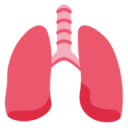 lungs