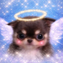 pls give me a will to live [18+] Discord server icon
