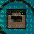 DWAA’s bots