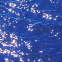 frankedher ocean