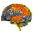 BRAINROT Discord Server Icon