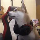 Akira's Good Boye Paradise