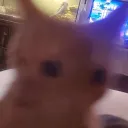 cheese's portal to hell