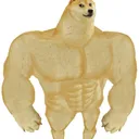 DogeLand regional Nation States server