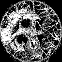 A VOX IN THE VOID