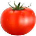 Pokeistt on Twitch