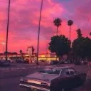 vibe shack