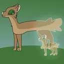Life's guide | A warriors rp