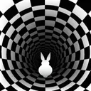 Bunny Burrow