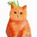 what kind of cat is this 👈 [[ NICHE ]] icon