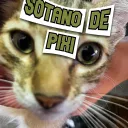 Espapus Unidos :V Discord Server Icon