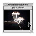 ⧉ Mycelium Network ₊📟/cyan1de ¹⁸⁺ Icon