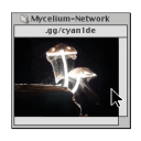 ⧉ Mycelium Network +  /cyan1de 18+ Discord Server Icon