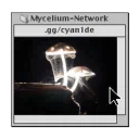 ⧉ Mycelium Network ₊📟/cyan1de ¹⁸⁺