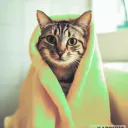 Anti-Stress :) Discord Server Icon