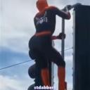 DED