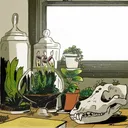My Desk