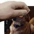 Los Pibardos
