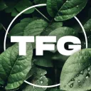 Tree Frog Grading 🐸