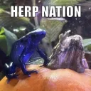 Herp Nation Discord Server Icon