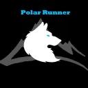 Polar Runner