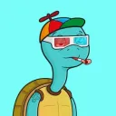 Sleezy Turtles