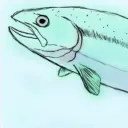 Fish Grinder || Minecraft Hub's icon