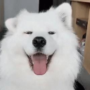 Cody's Art Hub