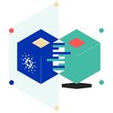 Cardano Developer Portal Discord Server Icon