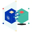 Cardano Developer Portal