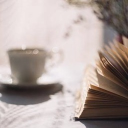 land of literature  ♡ ( inactive until further notice )