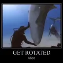 Tolito Server Hangout