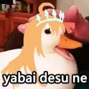 HIHI 找個地方待