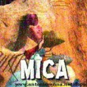 Mica le caillou pèlerin - Media Lost