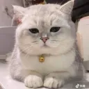-------