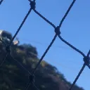 .: