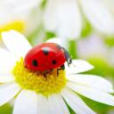https://cdn.discordapp.com/icons/875908532581572668/15a9a19f277b29e677fe530fd697d5fe.jpg?size=128