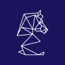 Digital Strategies Guild