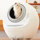 猫の砂場