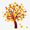home before the leaves fall