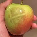 Greater Wenatchee Smash