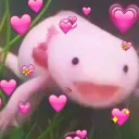 💖my axolotls💖