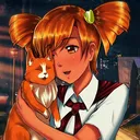 Корабль летних котиков