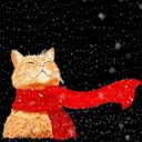 Корабль котиков