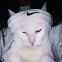 PORTALHUB Discord Server Icon