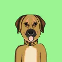 Dapper Dogs Community