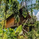 The Treehouse