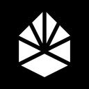 BULK Discord Server Icon