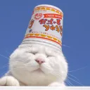 𝙲𝚊𝚝 𝙲𝚊𝚝𝚑𝚎𝚍𝚛𝚊𝚕 猫寺院 Discord Server Icon