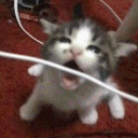 hideout Discord server icon